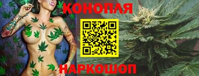 spice Кимры