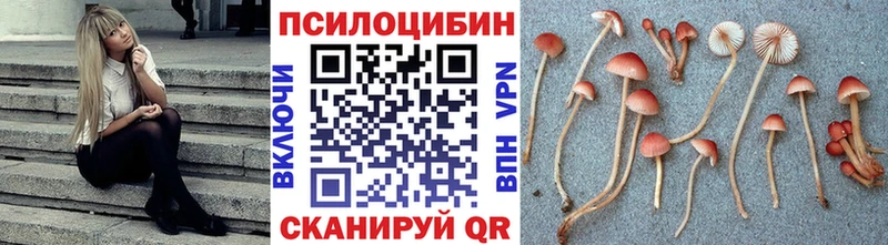 Псилоцибиновые грибы мухоморы  купить наркотики цена  Тосно 