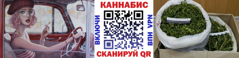 магазин продажи   Тосно  Марихуана сатива 
